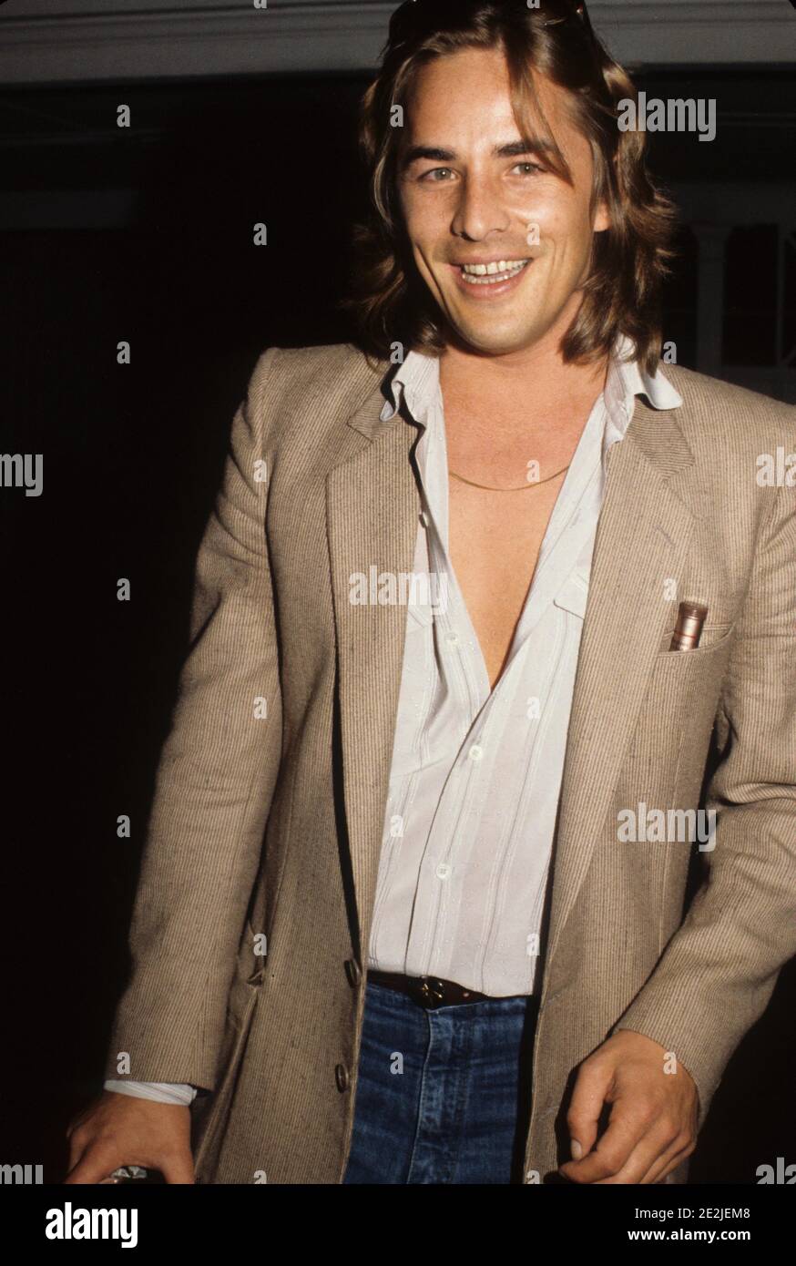 Don Johnsonr1077 Credit: Ralph Dominguez/MediaPunch Stock Photo - Alamy