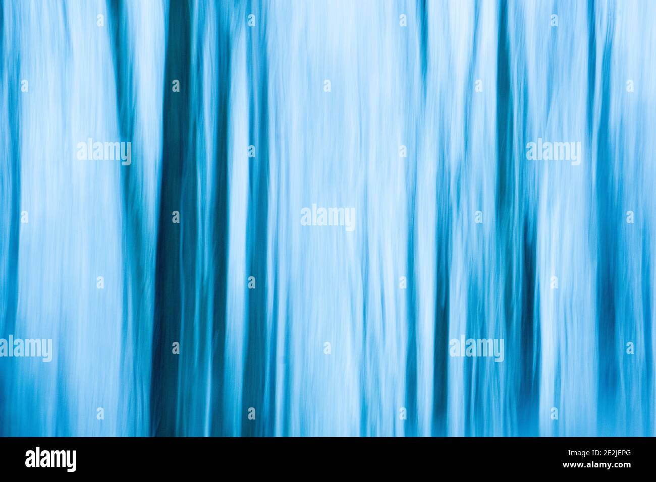 Playing with Internal Camera Movement in the snow covered woodland at Dhiavach in the Highlands of Scotland. Stock Photo