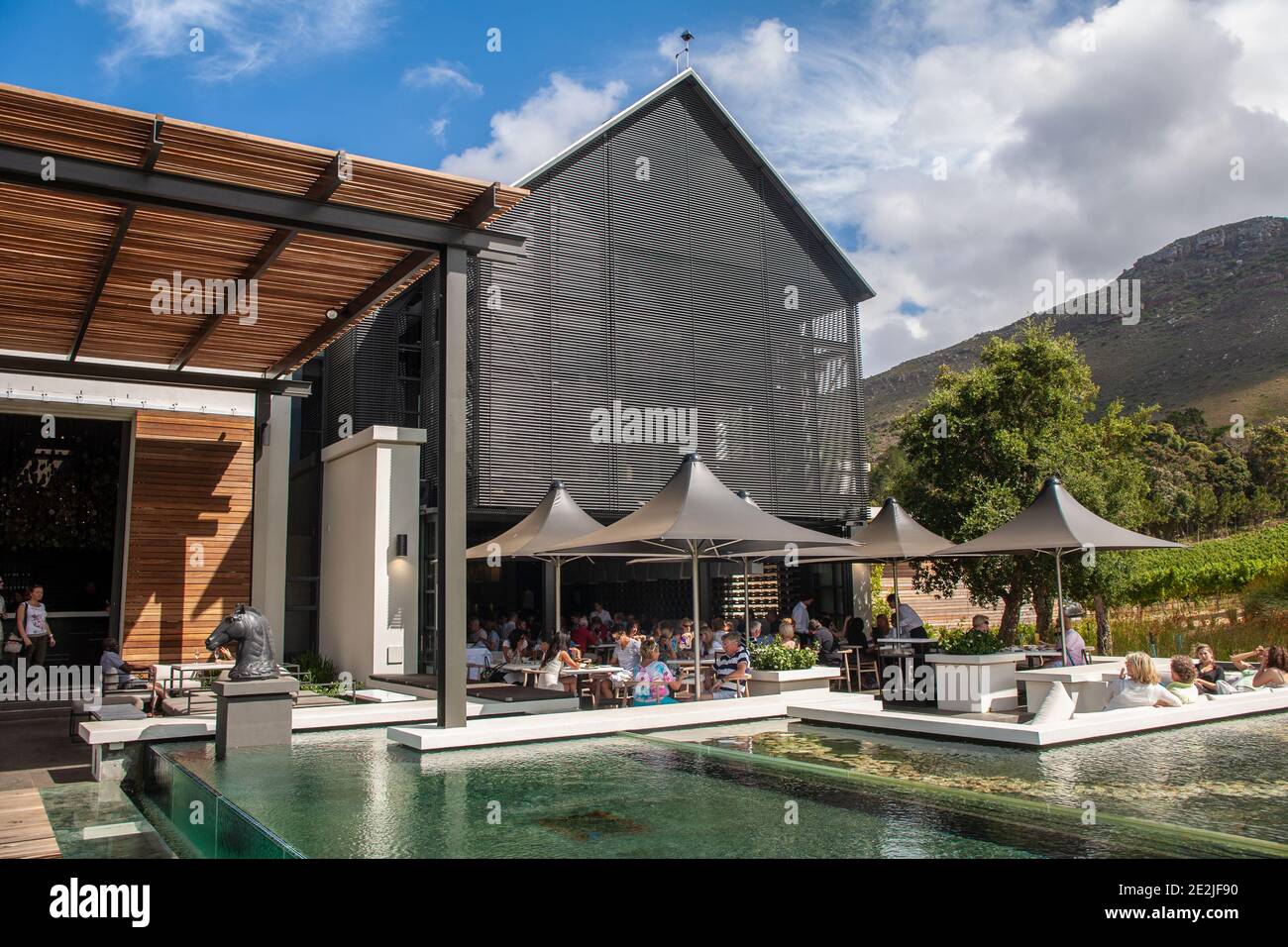 steenberg wines
