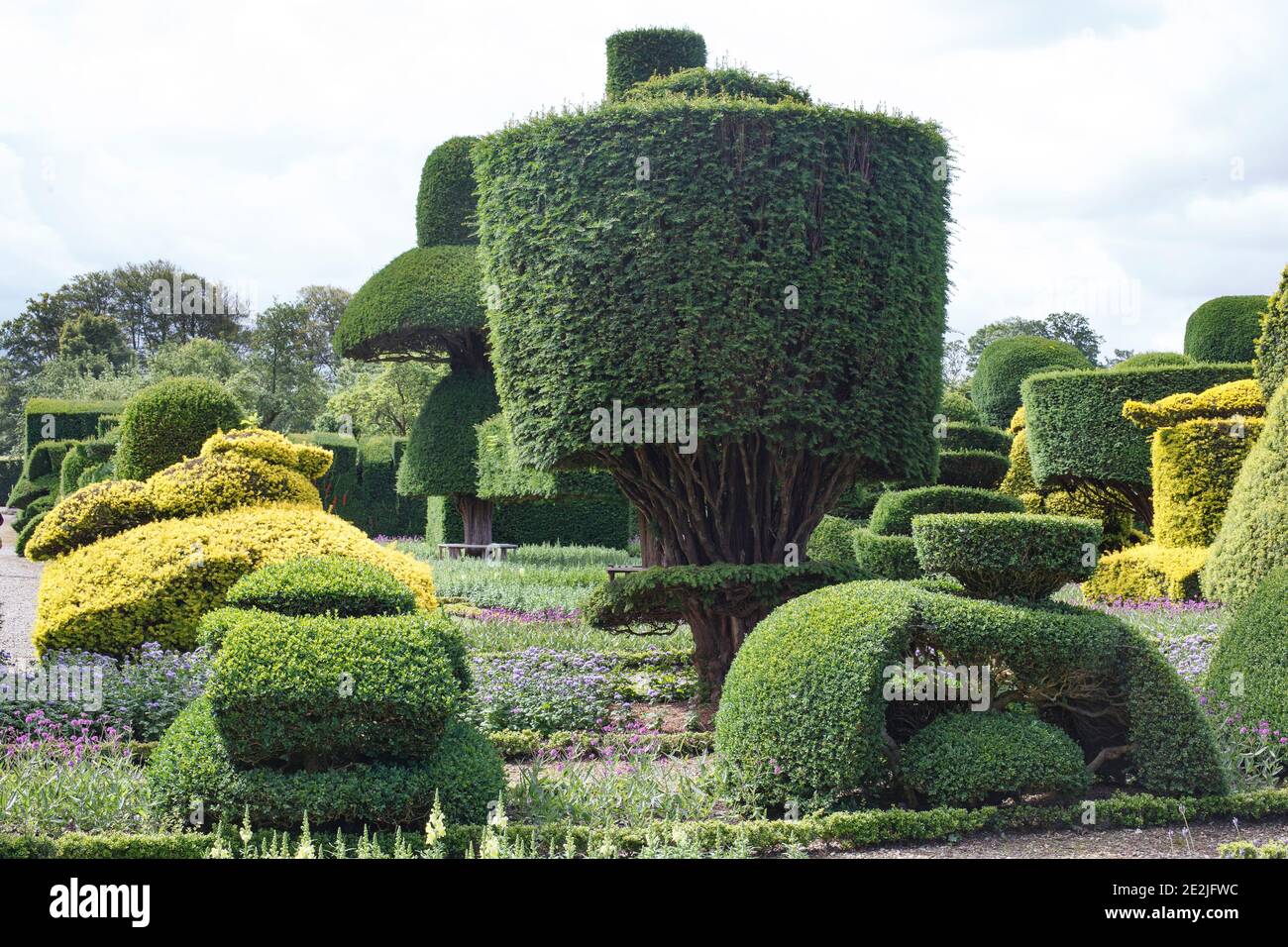 Unusual topiary shapes at Levens Hall and Garden, Cumbria, UK Stock Photo