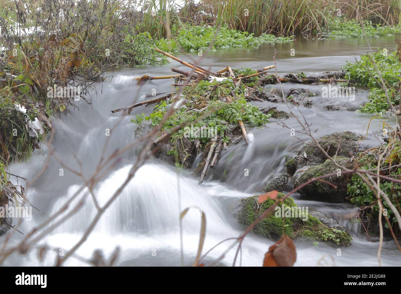 scenic of white water rapids in a creek Stock Photo