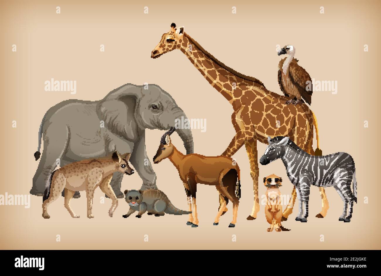 Group of wild animal on background illustration Stock Vector Image ...