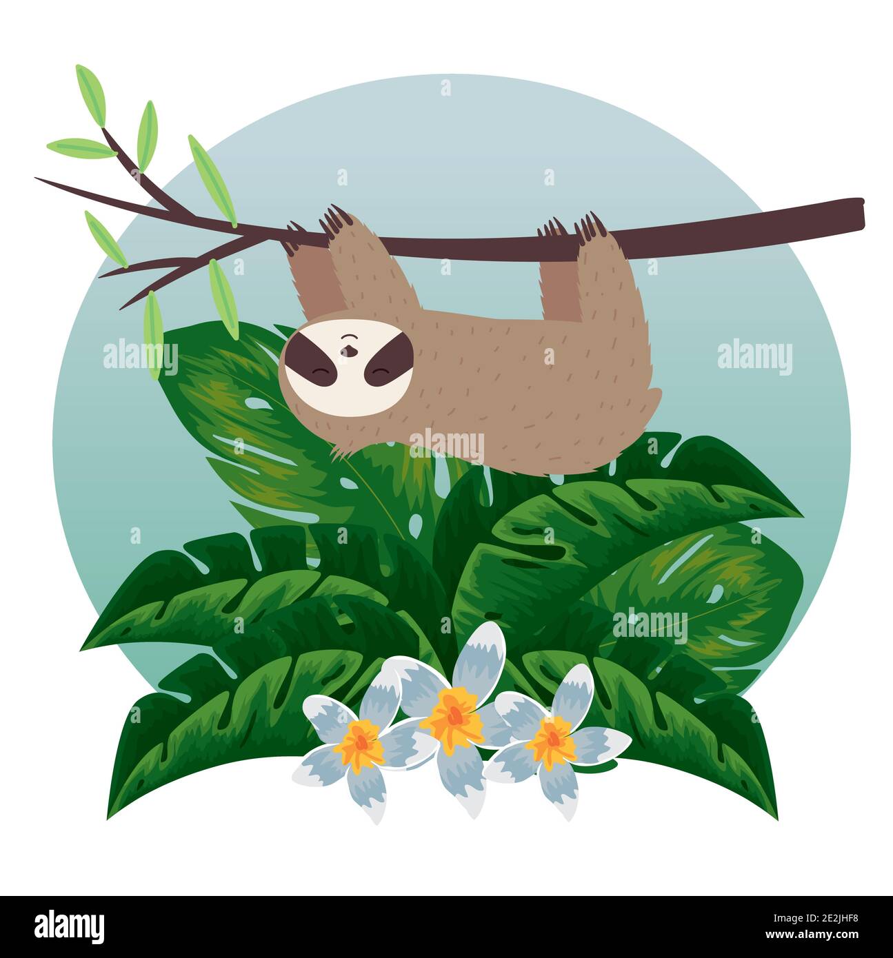 Koala hanging in tree hi-res stock photography and images - Alamy