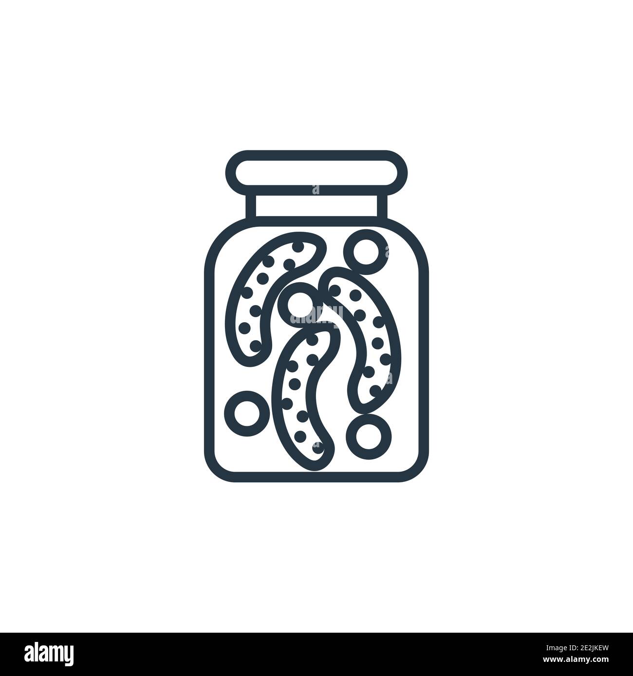 Pickle outline vector icon. Thin line black pickle icon, flat vector