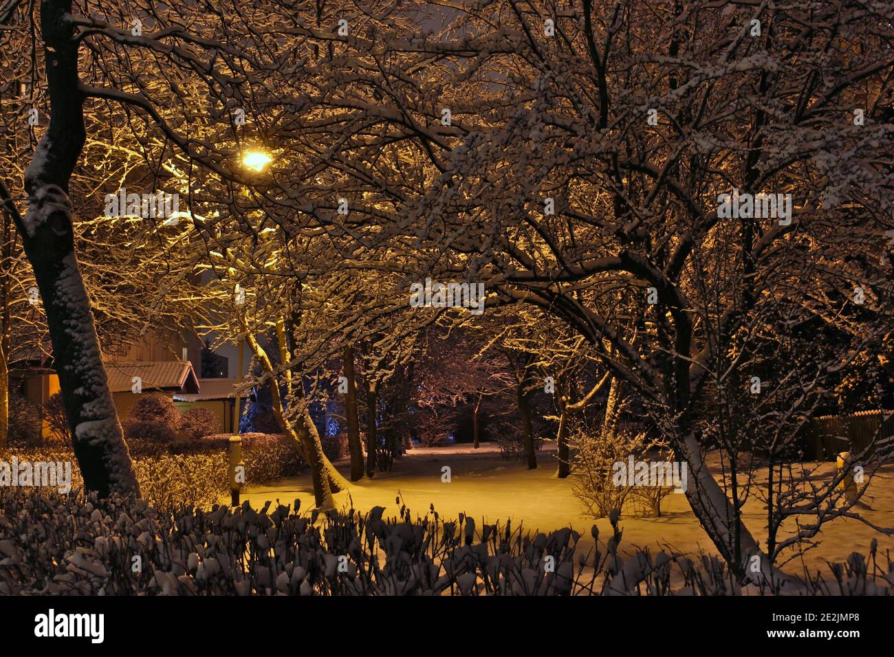 Winter views in Białystok Stock Photo