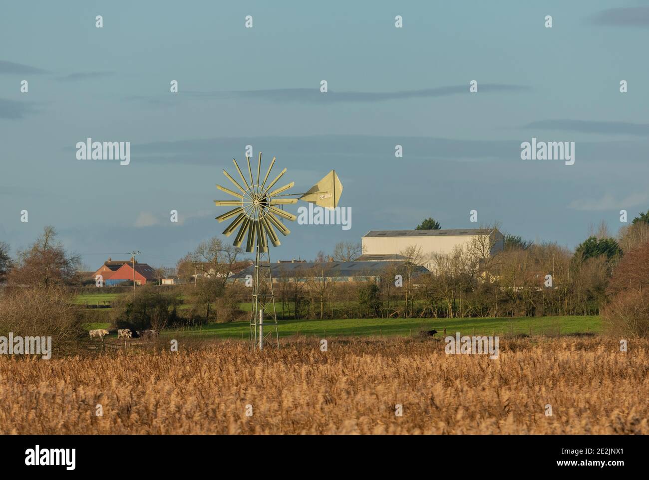 Wind-powered Water pump in reed-bed, in winter at Ham Wall on the Somerset Levels. Stock Photo