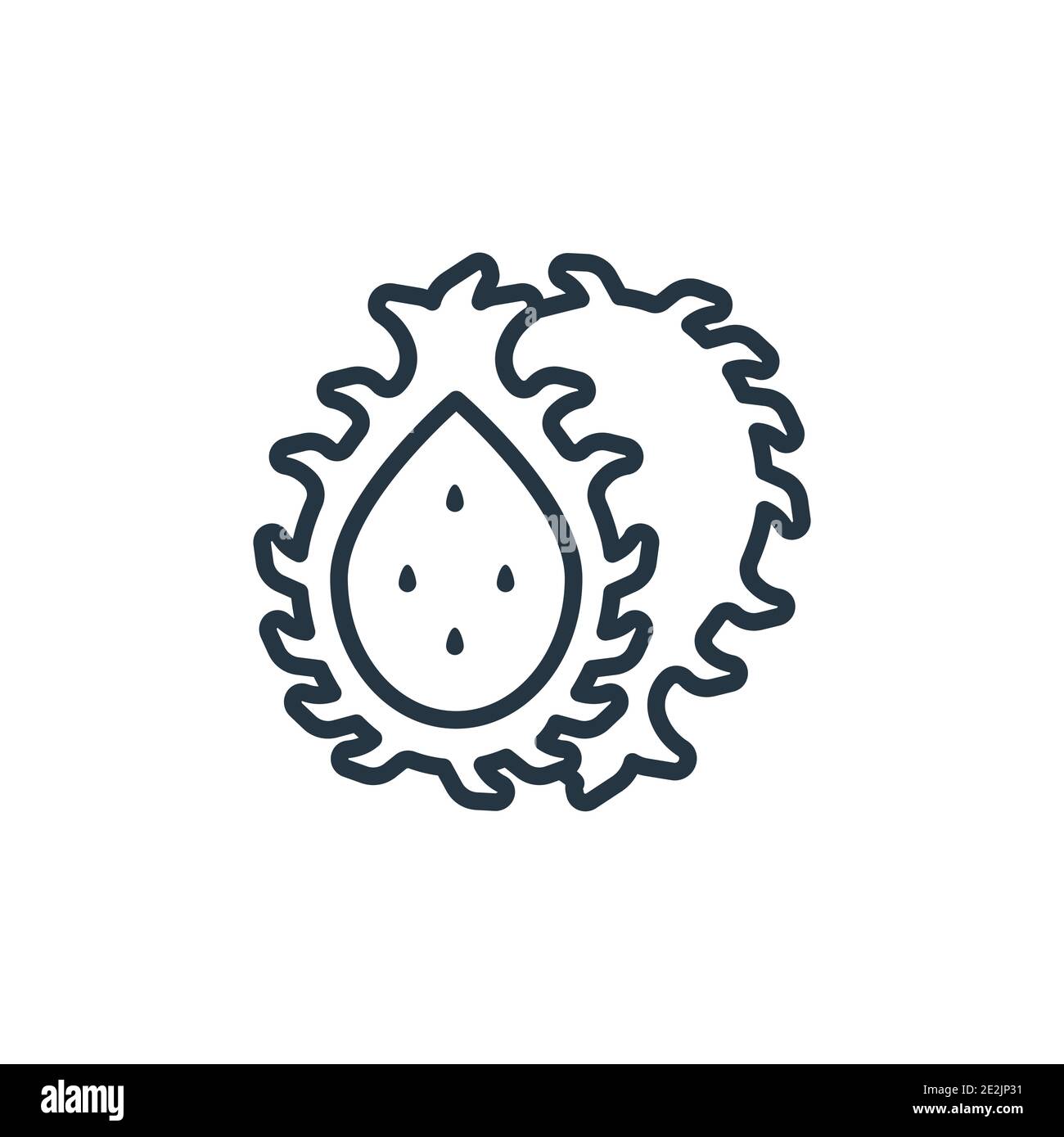 Pitaya outline vector icon. Thin line black pitaya icon, flat vector ...