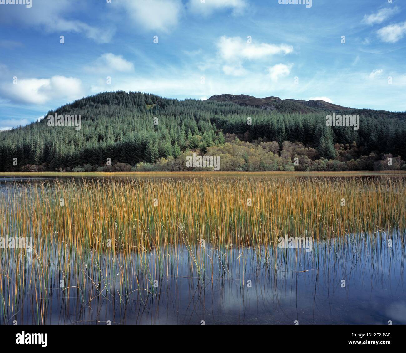 United Kingdom. Scotland. Highlands. Wester Ross. Kyle of Lochalsh. Landscape with loch near Plockton. Stock Photo