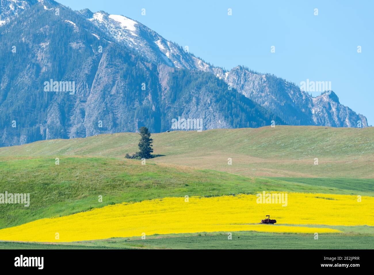 Farm on Wallowa Lake moraine, Wallowa County, Oregon Stock Photo Alamy