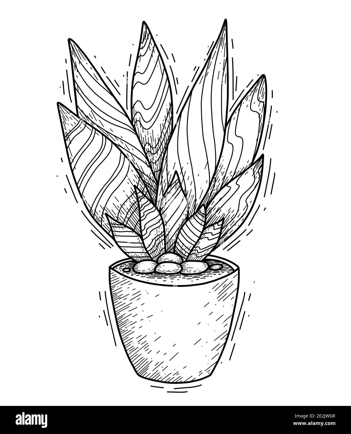 Contour illustration of succulent cactus with long petals in a pot with hatching. Engraved picture of home plant for interior decoration. Vector sketc Stock Vector