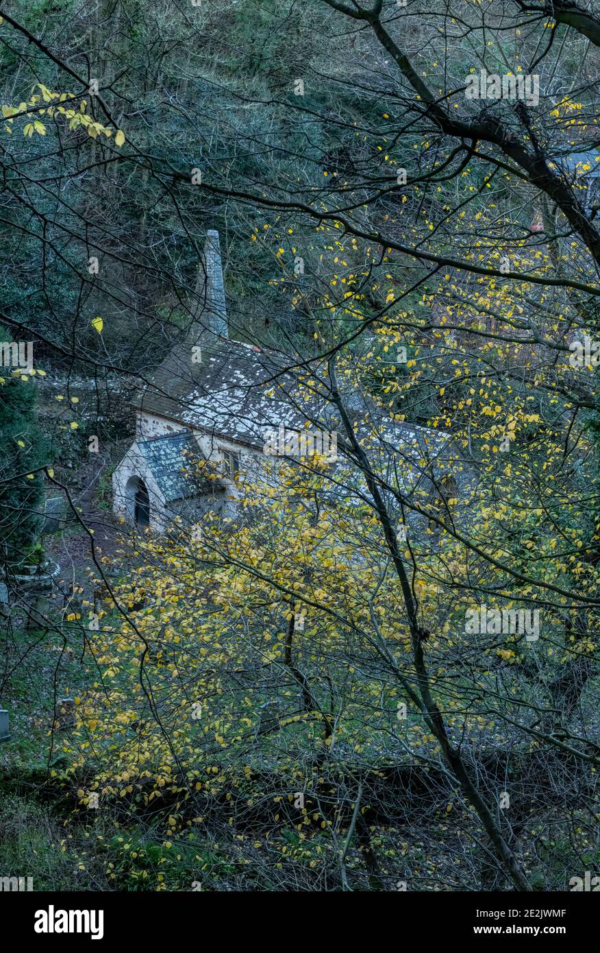 St Beuno's Church at Culbone, the smallest parish church in England, with autumnal Wych Elm. On Exmoor, West Somerset. Stock Photo