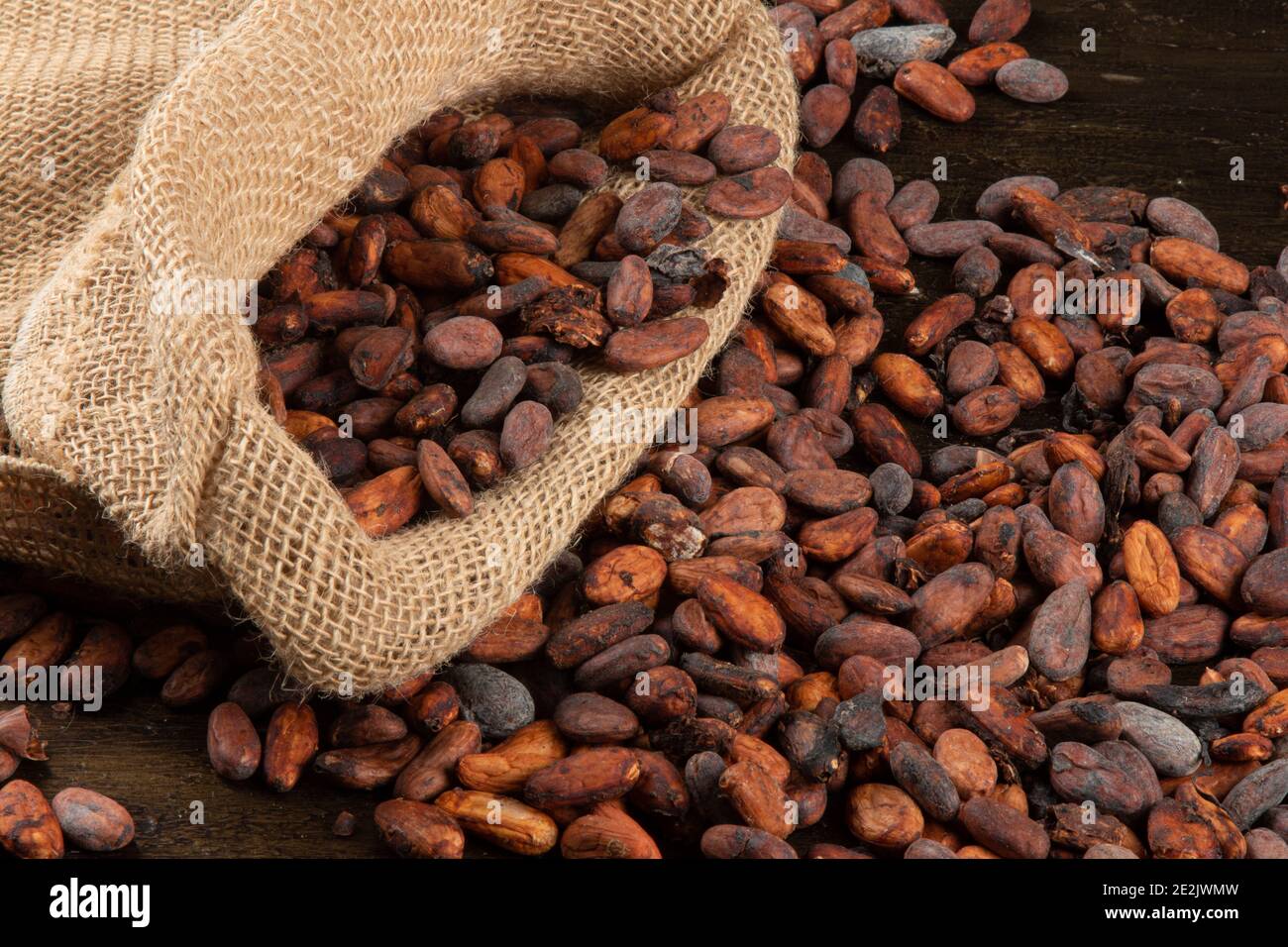 Bag with raw cocoa beans from southern Bahia Brazil Stock Photo Alamy