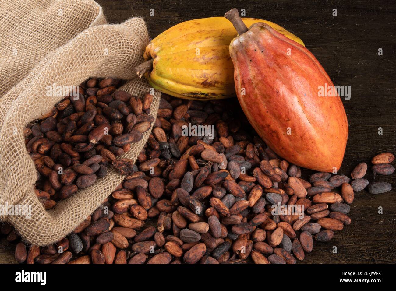 Cocoa fruits and bag with raw cocoa beans. Stock Photo