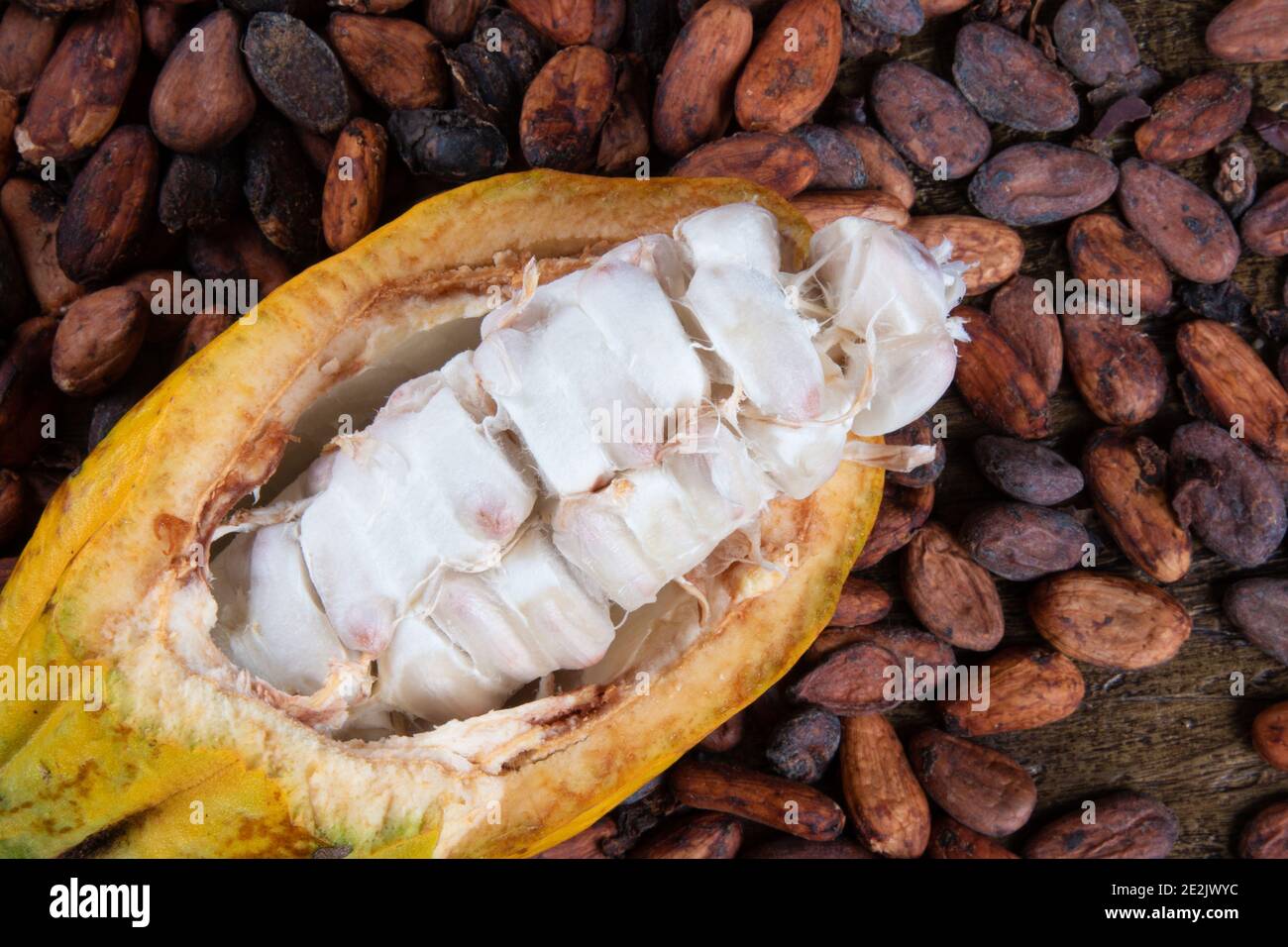 Detail of cut cocoa fruits and raw cocoa beans. Stock Photo