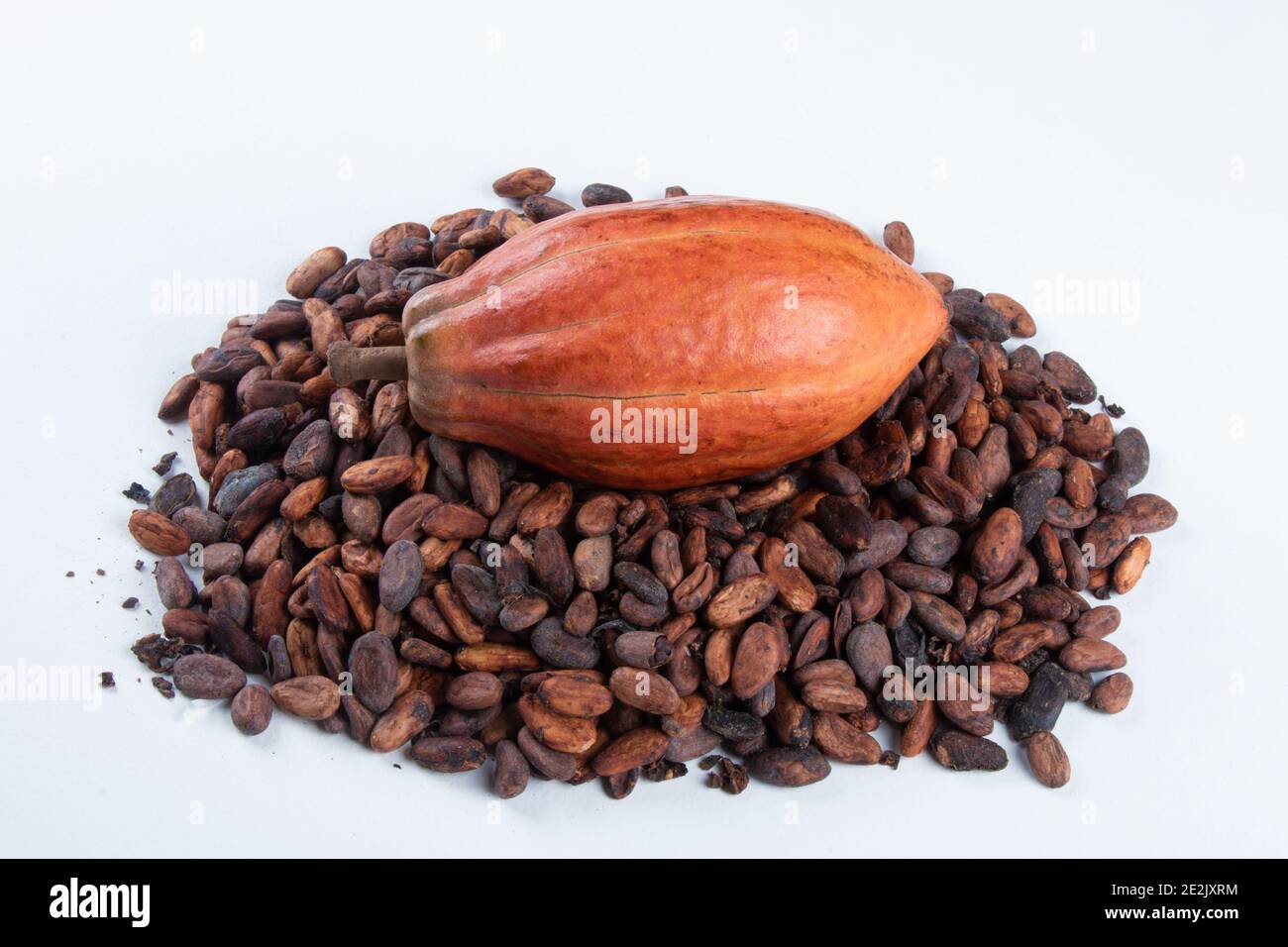 Cocoa fruit over raw cocoa beans on white background Stock Photo