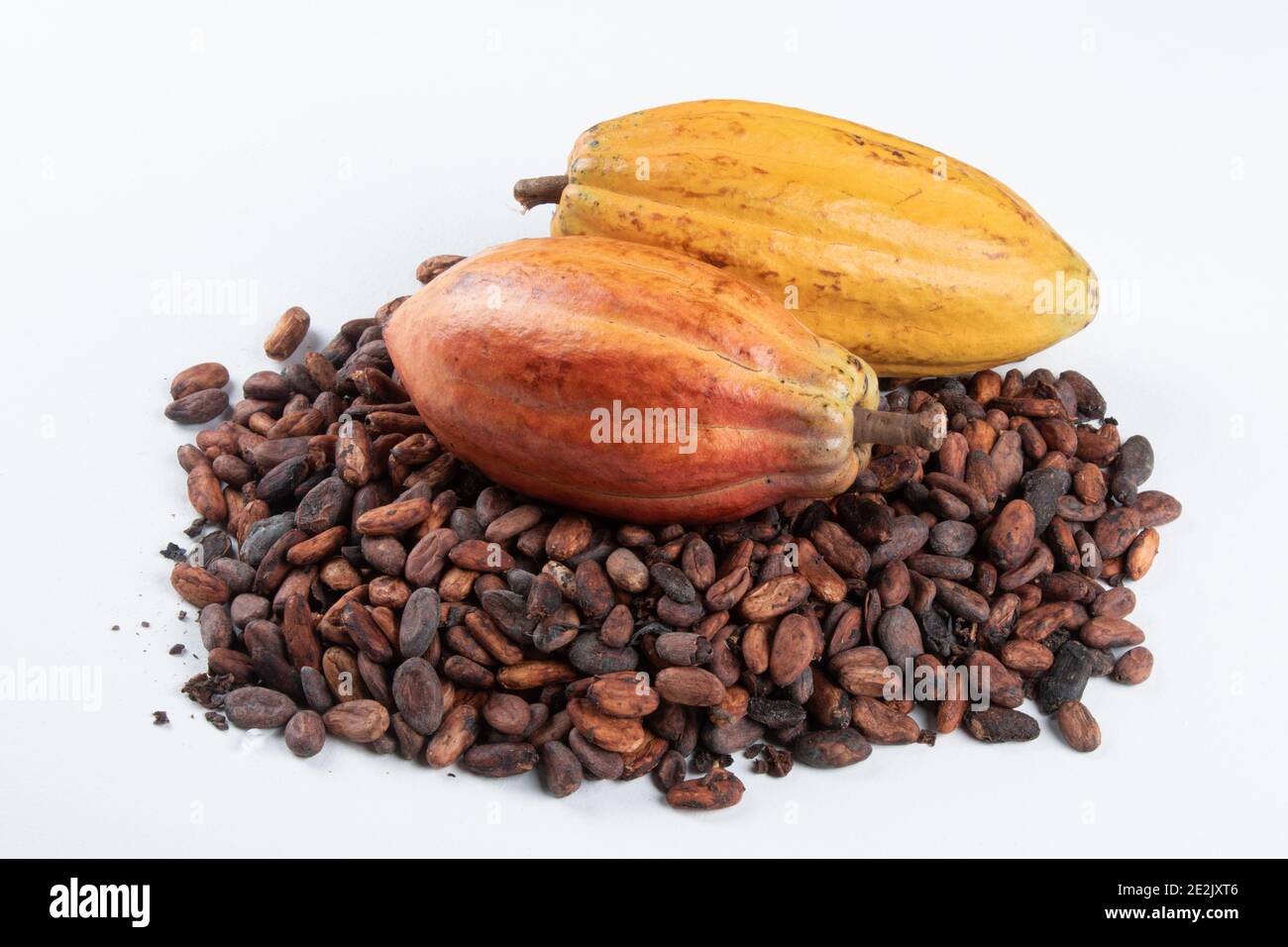 Cocoa fruit over raw cocoa beans on white background Stock Photo