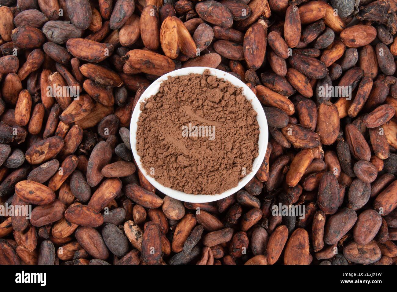 Powdered cocoa on raw cocoa beans Stock Photo Alamy
