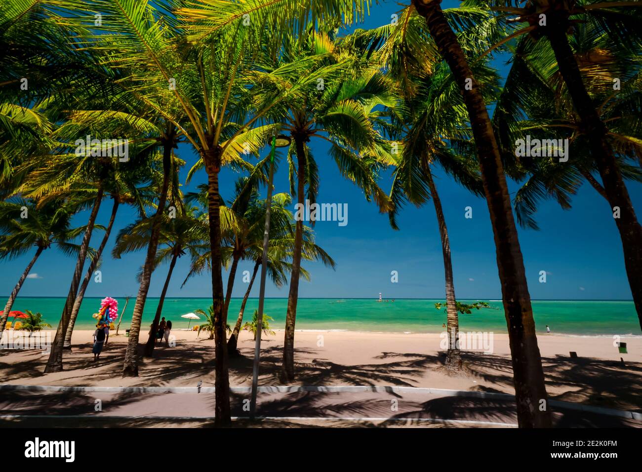 Large palm trees and turquoise waters on a beach in Maceió, Brazil Stock Photo