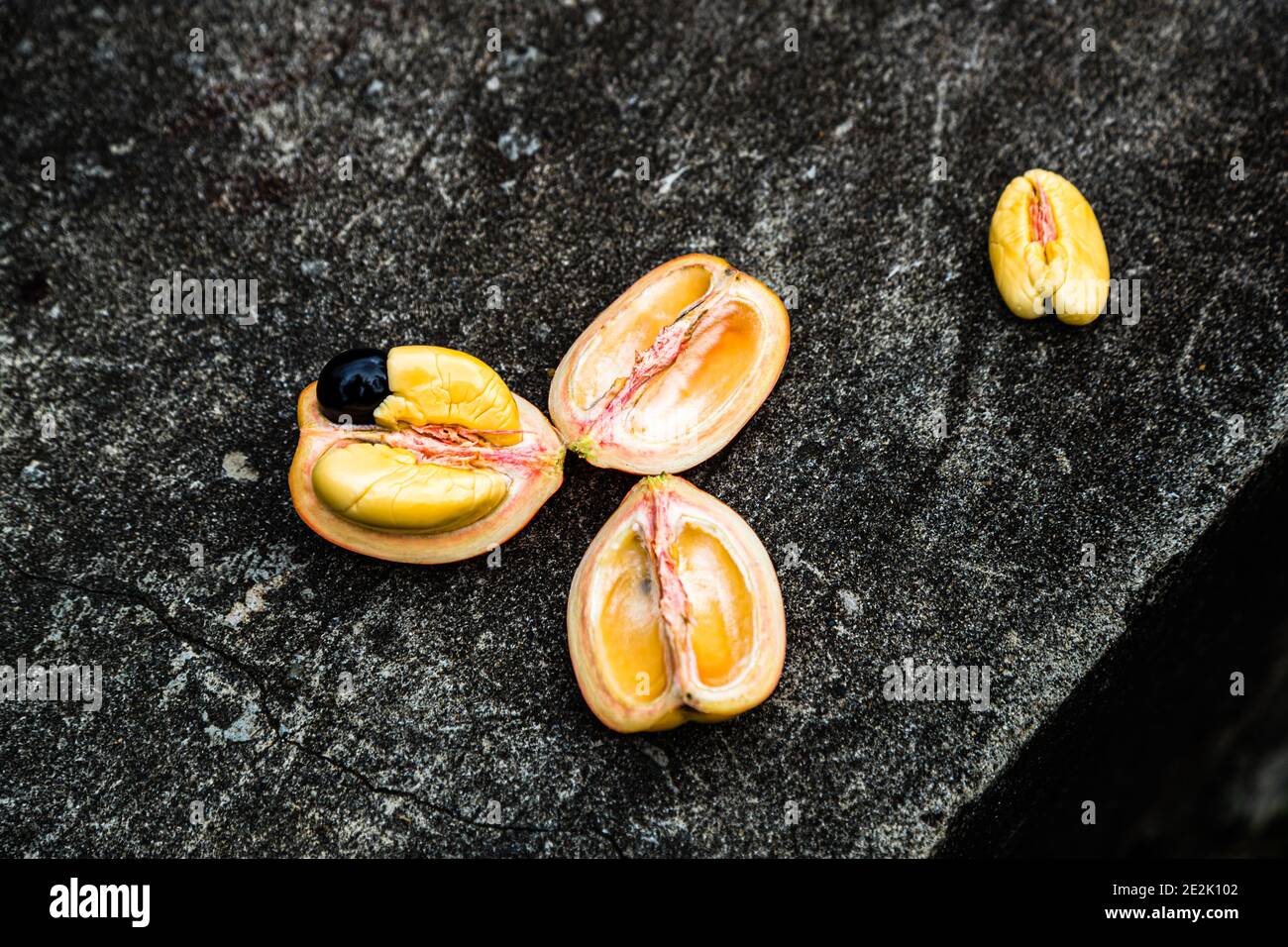 Ackee Fruit in Grenada Stock Photo