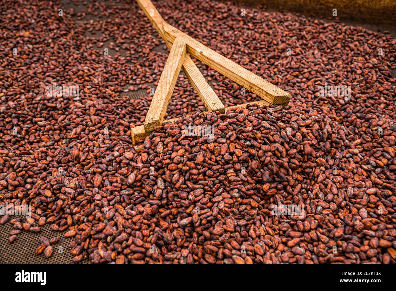 Cocoa Bean Drying Rack in Grenada Stock Photo