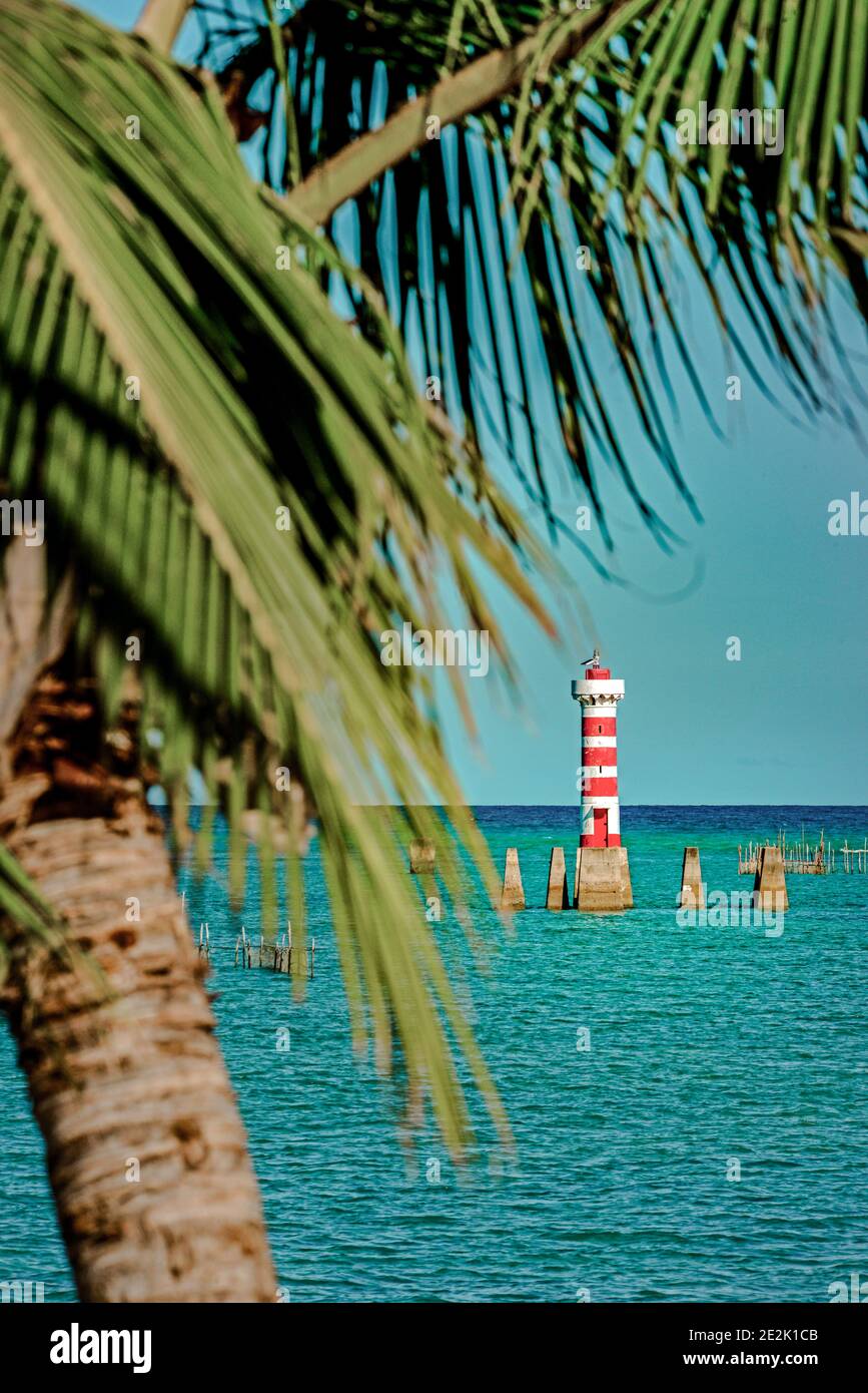 Lighthouse, palm trees and turquoise water from the beach in Maceió Brazil Stock Photo