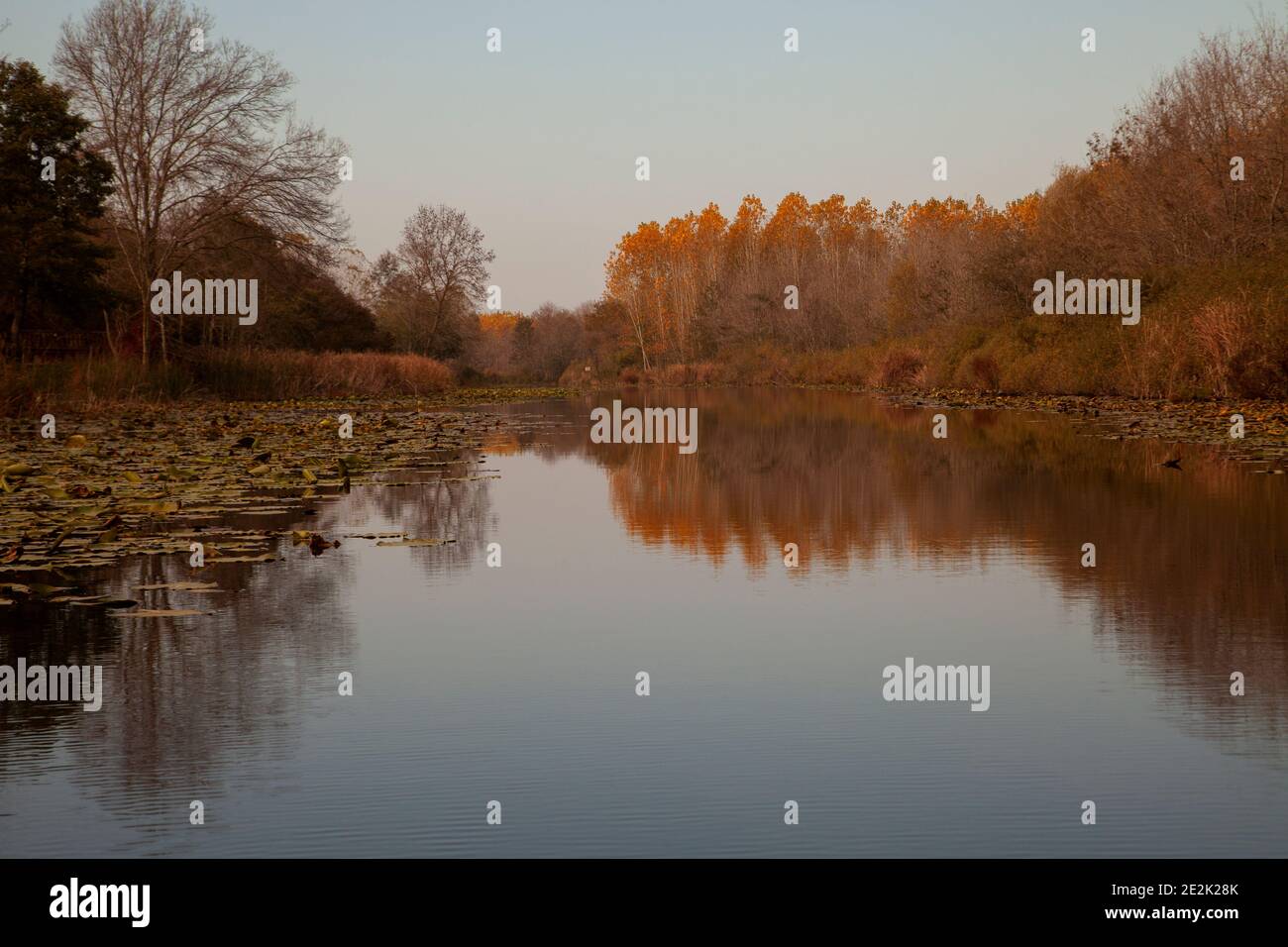 Autumn reflection of rivers hi-res stock photography and images - Alamy