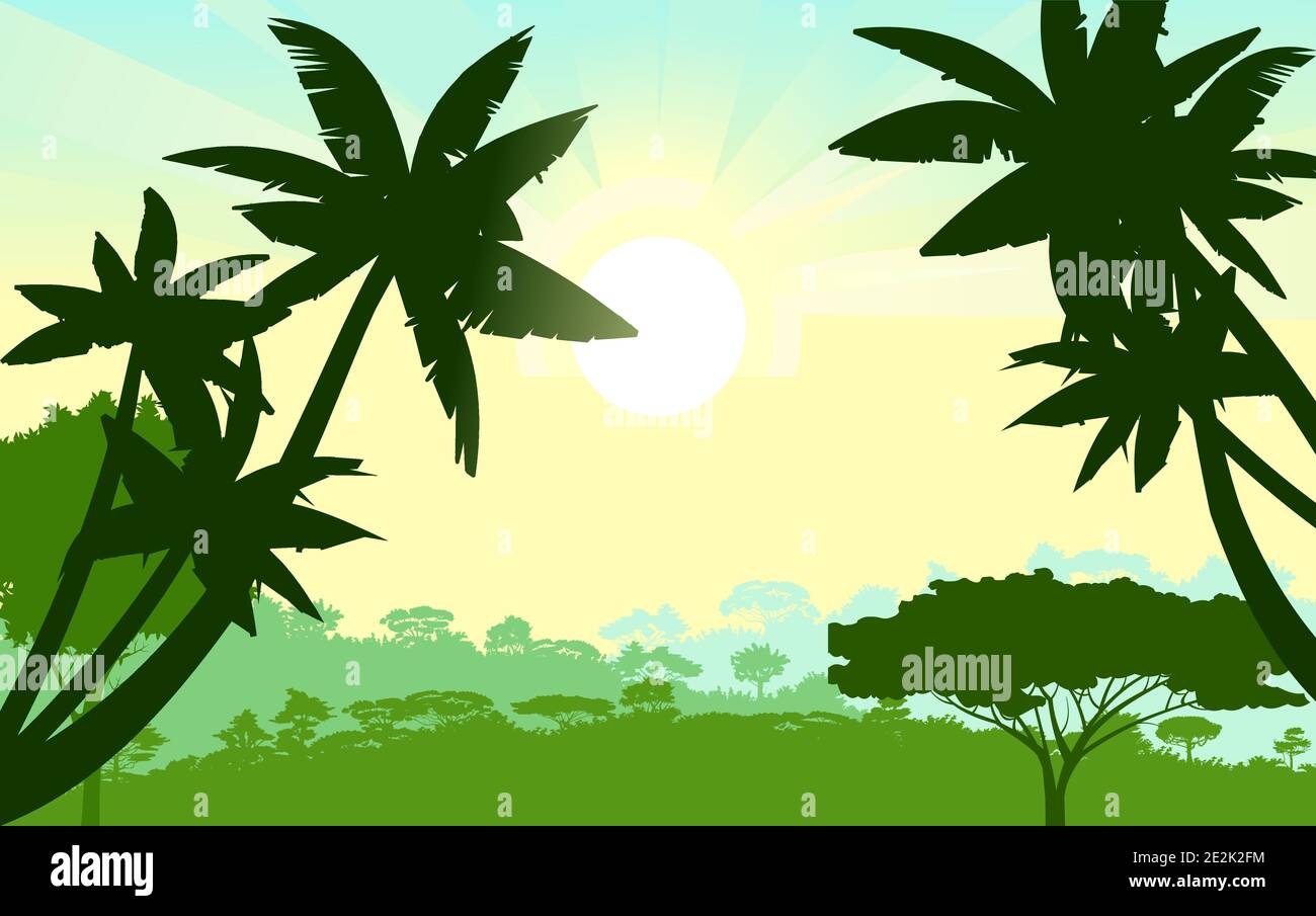 Palm trees. Jungle silhouette. Rainforest. Panoramic landscape. The