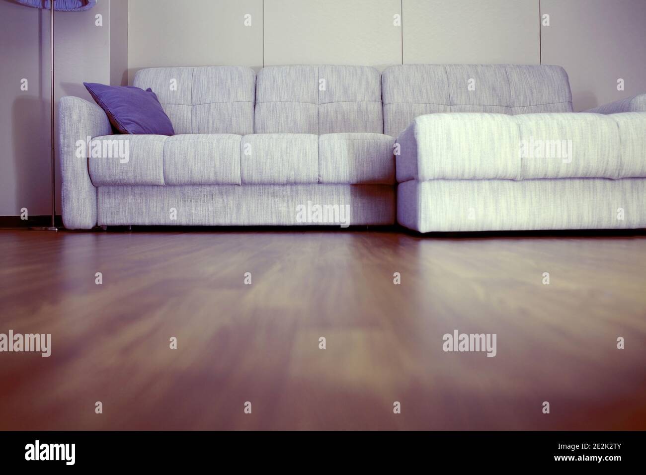 Home interior with sofa and parquet floor Stock Photo