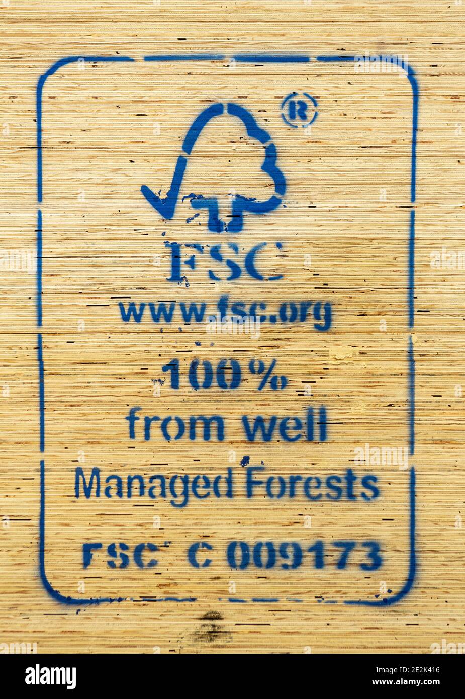 Close up of Forest Stewardship Council FSC logo stamp in plywood sheets for export. Concept of timber, environment, conservation, sustainable, wood. Stock Photo