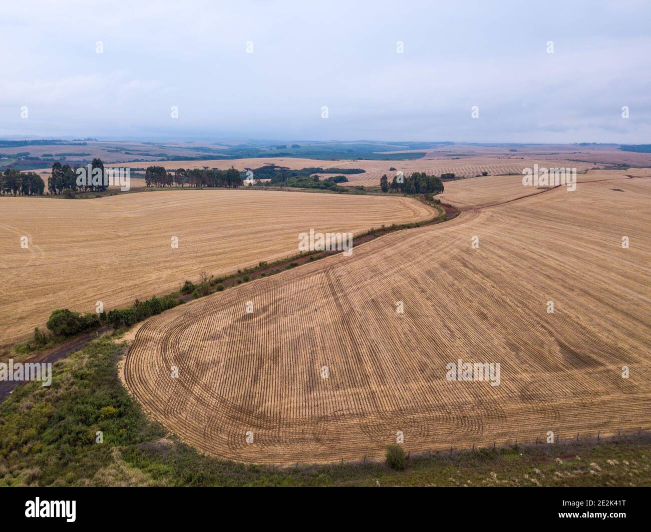 Soybean cultivation brazil hi-res stock photography and images - Alamy