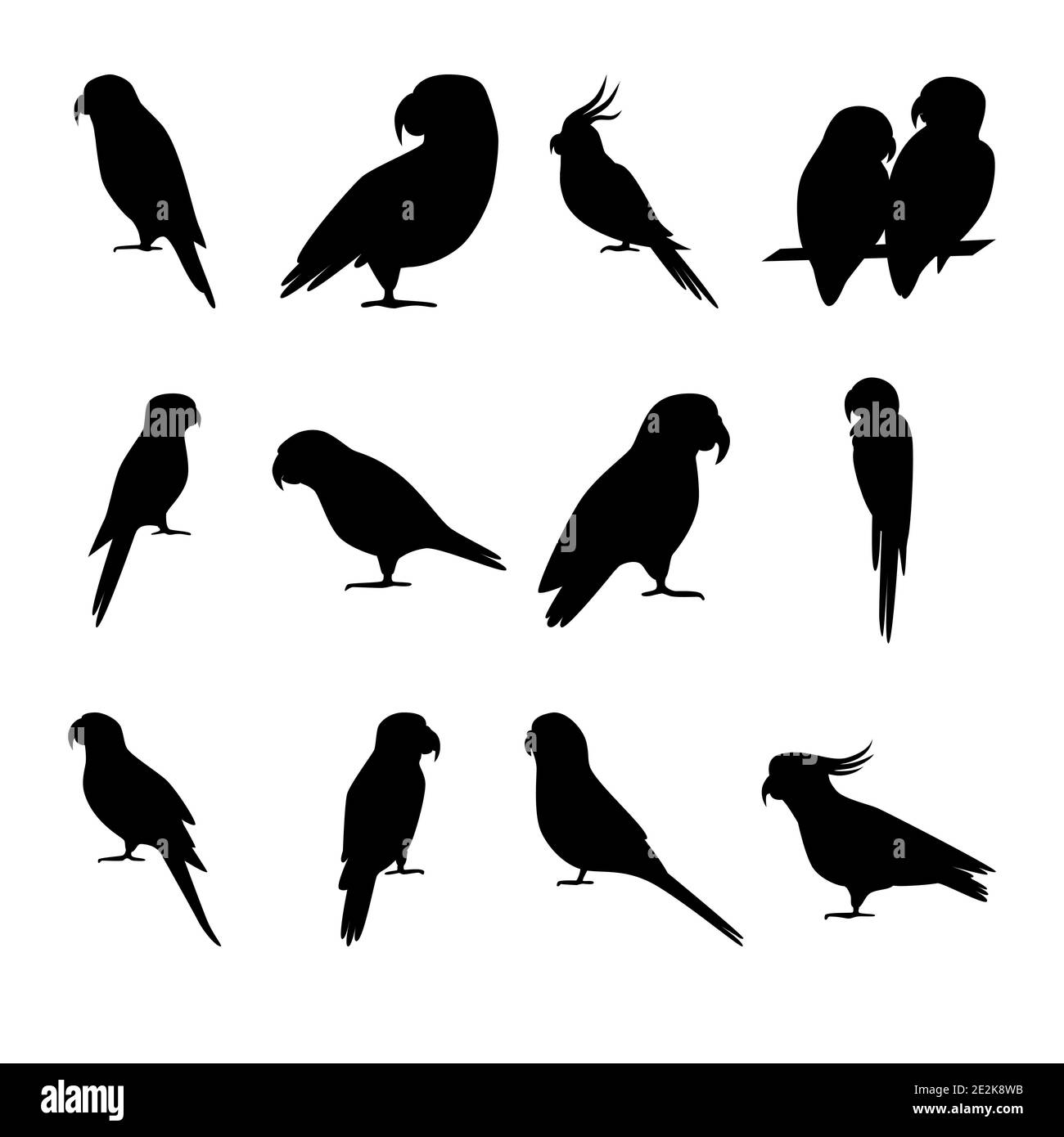 Collection of parrot silhouette icons in flat style. Tropical bird symbols isolated on white background. Stock Vector