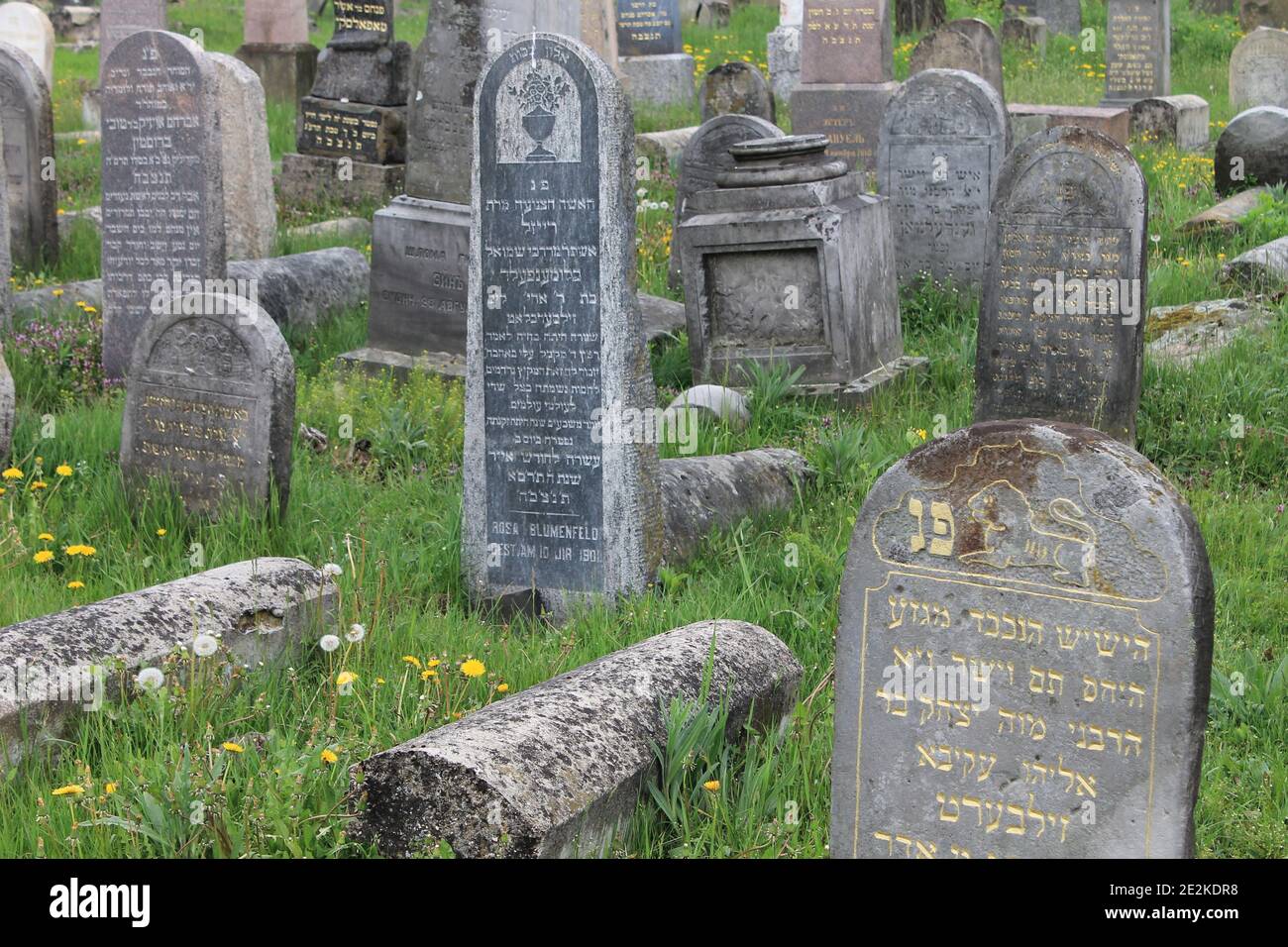 Historical Jewish Cemetery with a variety of restored gravestones in Bialystok (Poland) Stock Photo