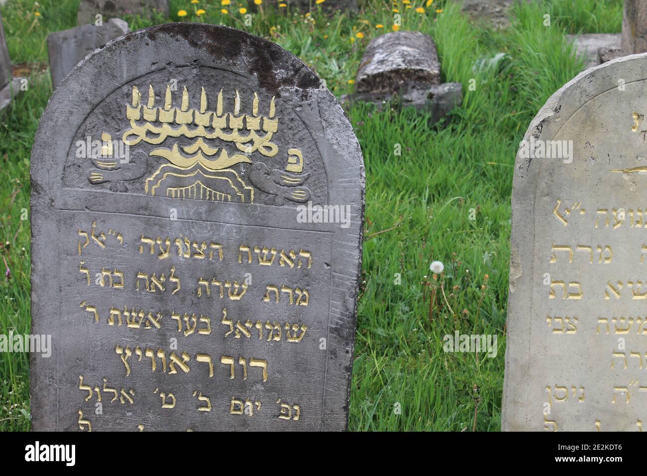 Historical Jewish Cemetery with restored gravestones and classical symbols in Bialystok (Poland) Stock Photo