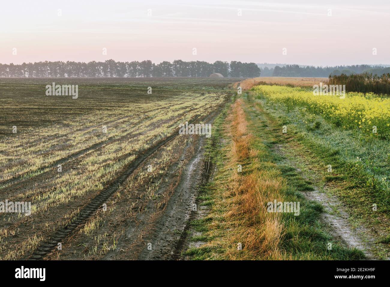 Dawn in the autumn field. Plowed field and country road. Stock Photo