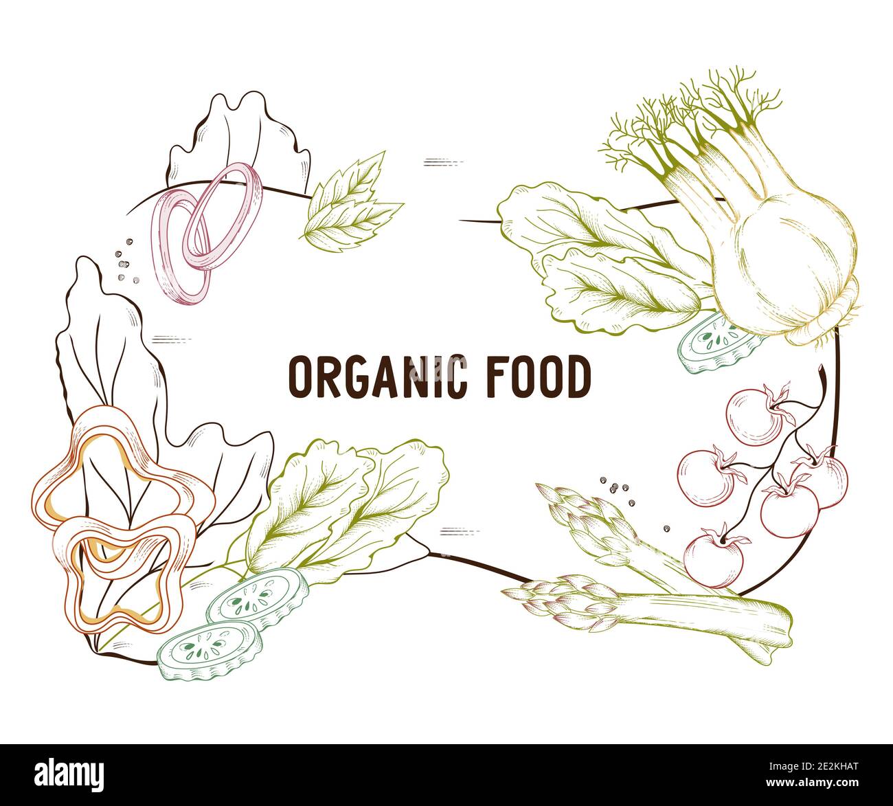 Organic vegetarian food menu background engraving hand drawn vector ...