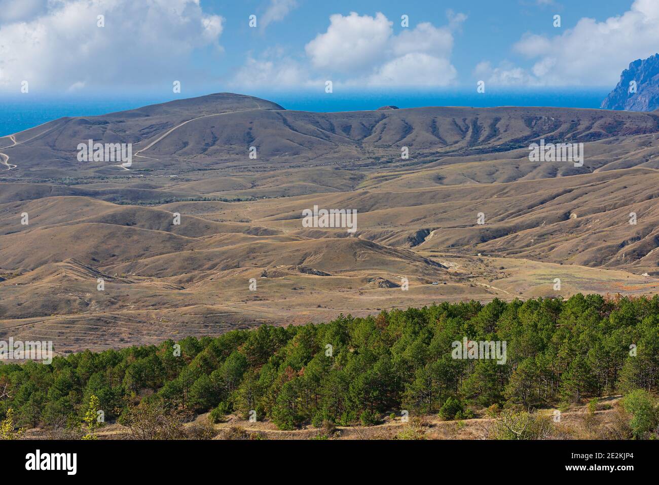 Sandy and loamy hills with stands of forest strips on the seashore Stock Photo