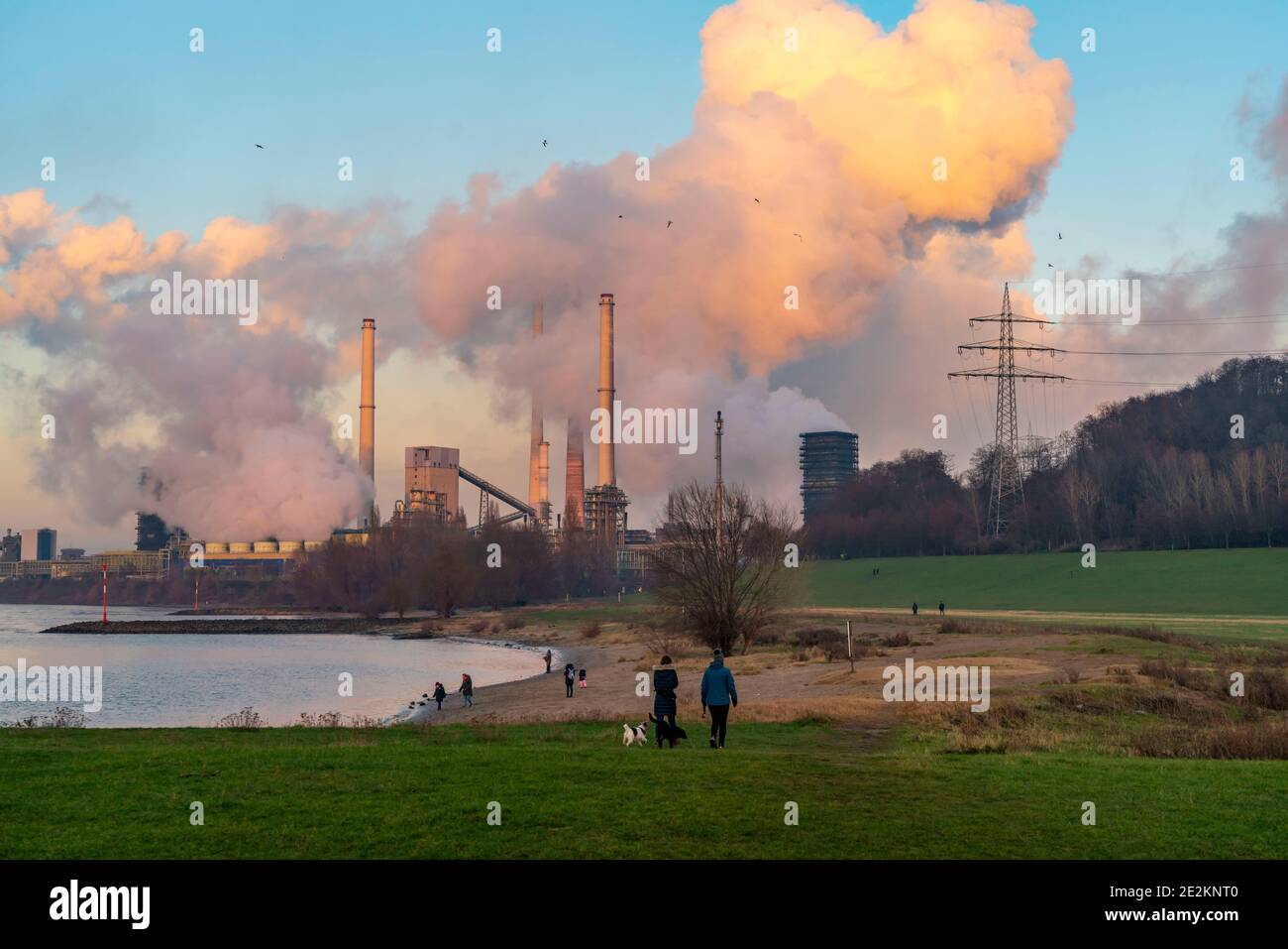 ThyssenKrupp steel plant in Duisburg-Bruckhausen, discharge cloud of the Schwelgern coking plant, chimney of the sintering plant,River Rhine, Duisburg Stock Photo