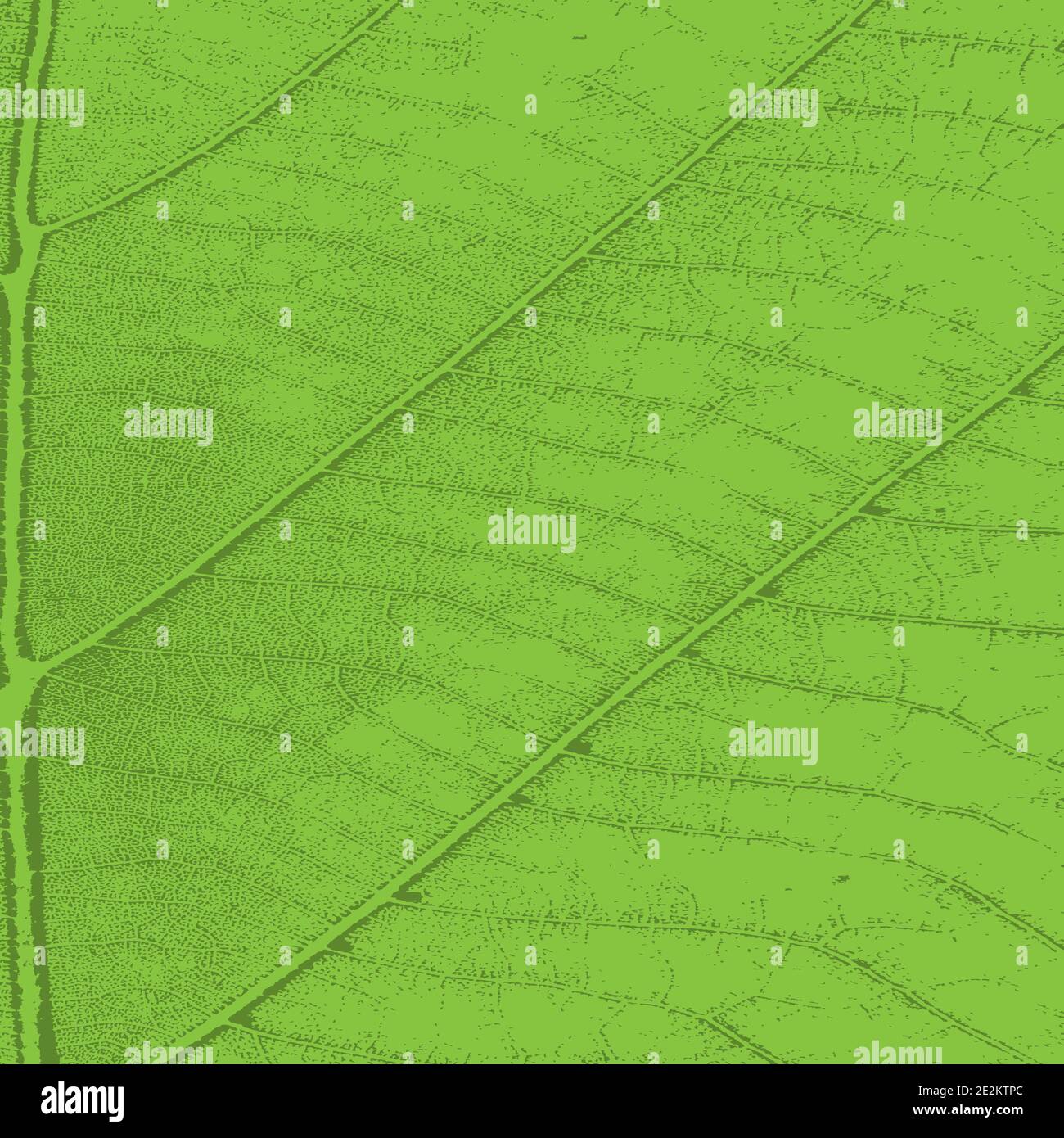 Distress Vector Texture Stock Vector