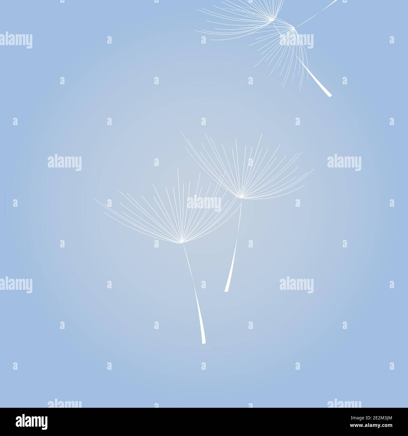 Flying Dandelion white on blue background, blue sky Stock Vector