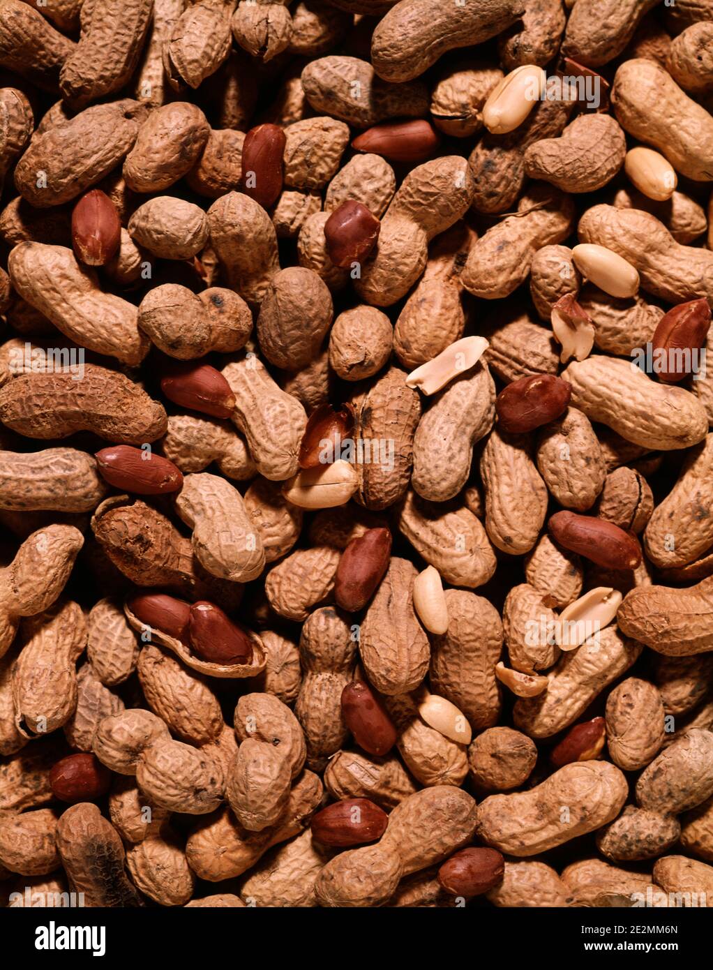 1980s WHOLE PEANUTS IN SHELLS OVERALL PATTERN - kf19050 DAS001 HARS OLD FASHIONED Stock Photo