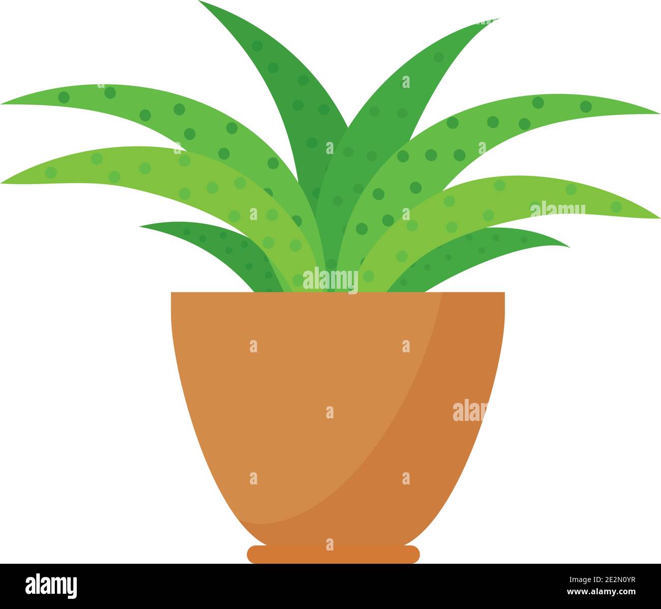 icon of indoor plant in a pot over white background, colorful design ...
