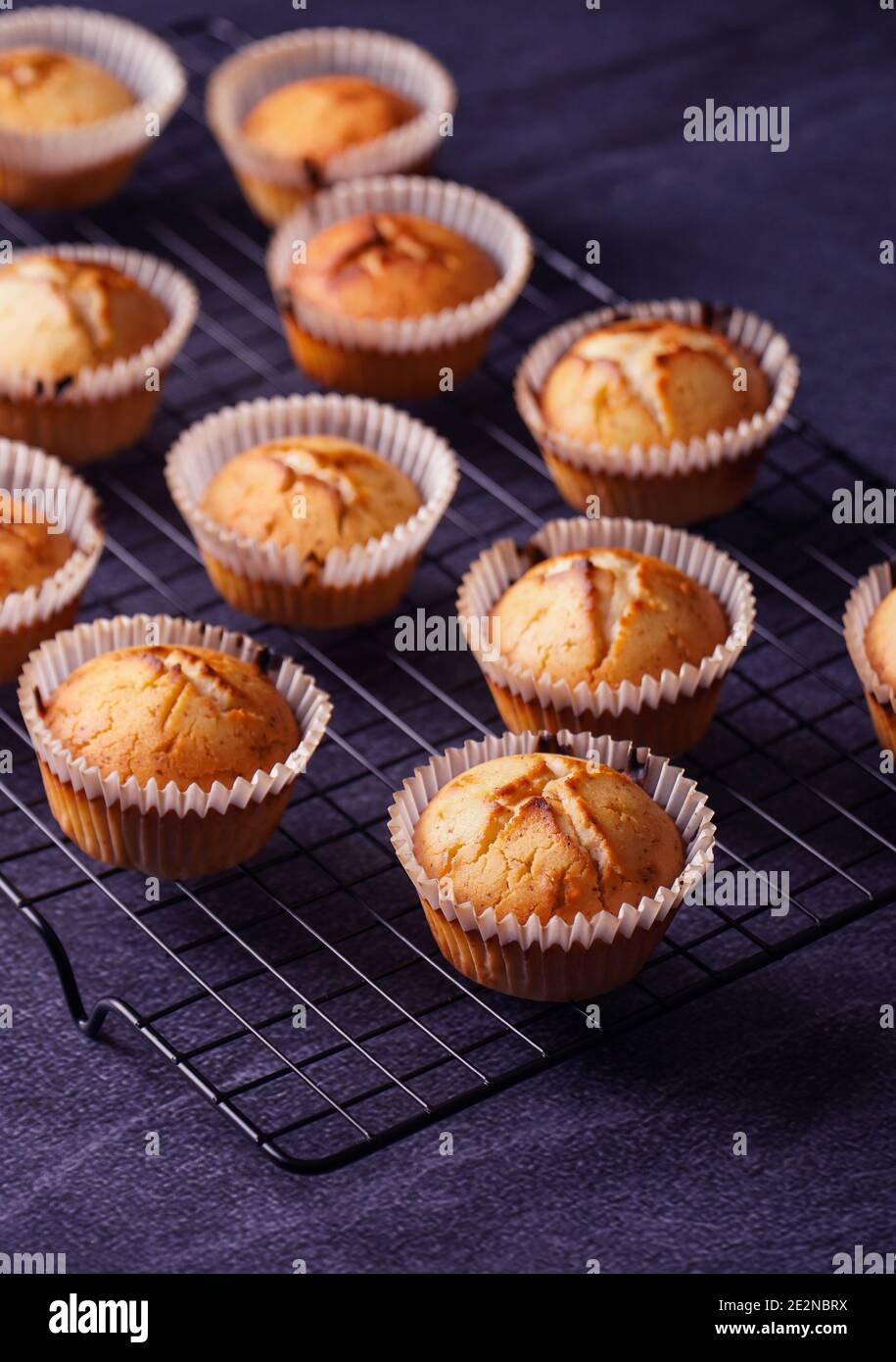 Vertical shot of baked lemon muffins put on a metallic tray isolated on dark background Stock Photo