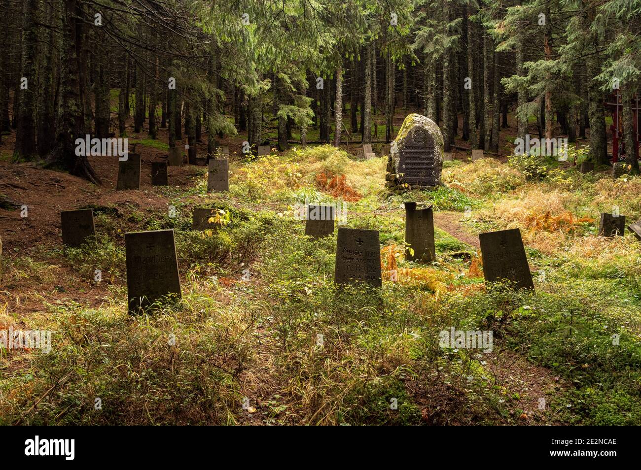 An old military cemetery in the forest. World War I. Headstones. Stock Photo