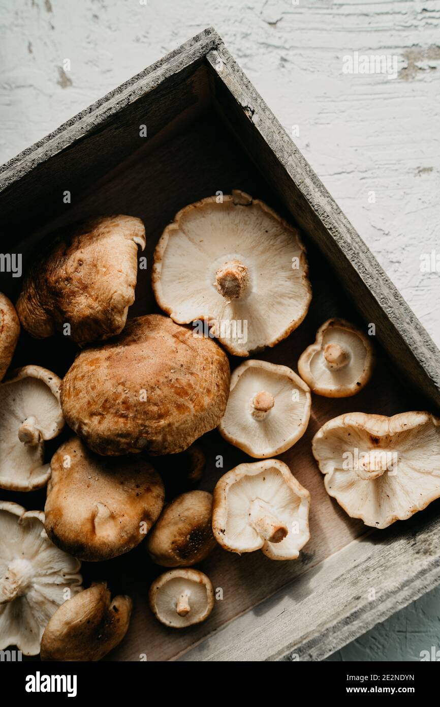 Fresh collected brown shiitake mushrooms on a rustic wooden box. High angle Stock Photo