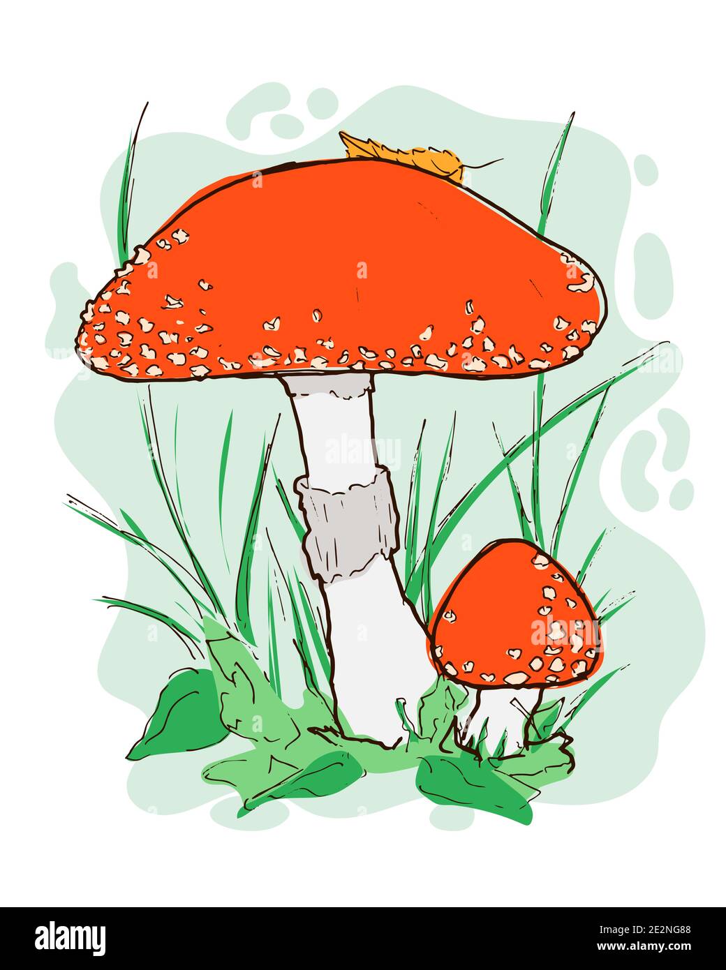 Fly agaric hand drawn illustration in cartoon style. Isolated amanita muscaria mushroom in woodland. Sticker element with white background for autumn Stock Vector