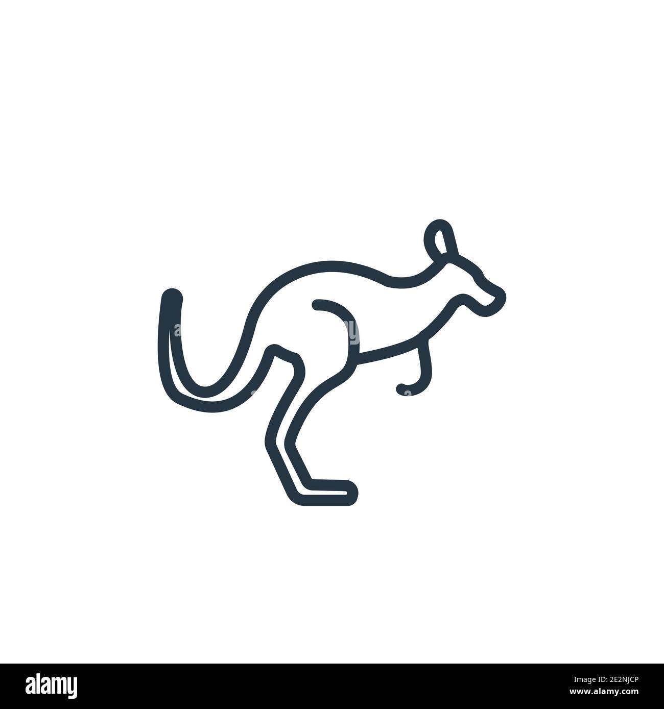 Australian kangaroo outline vector icon. Thin line black australian