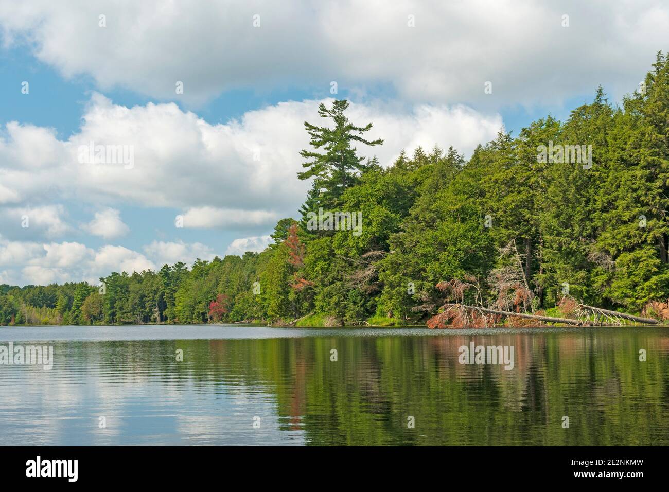 Sunny Day on a North Woods Lake in the Sylvania Wilderness in Michigan Stock Photo
