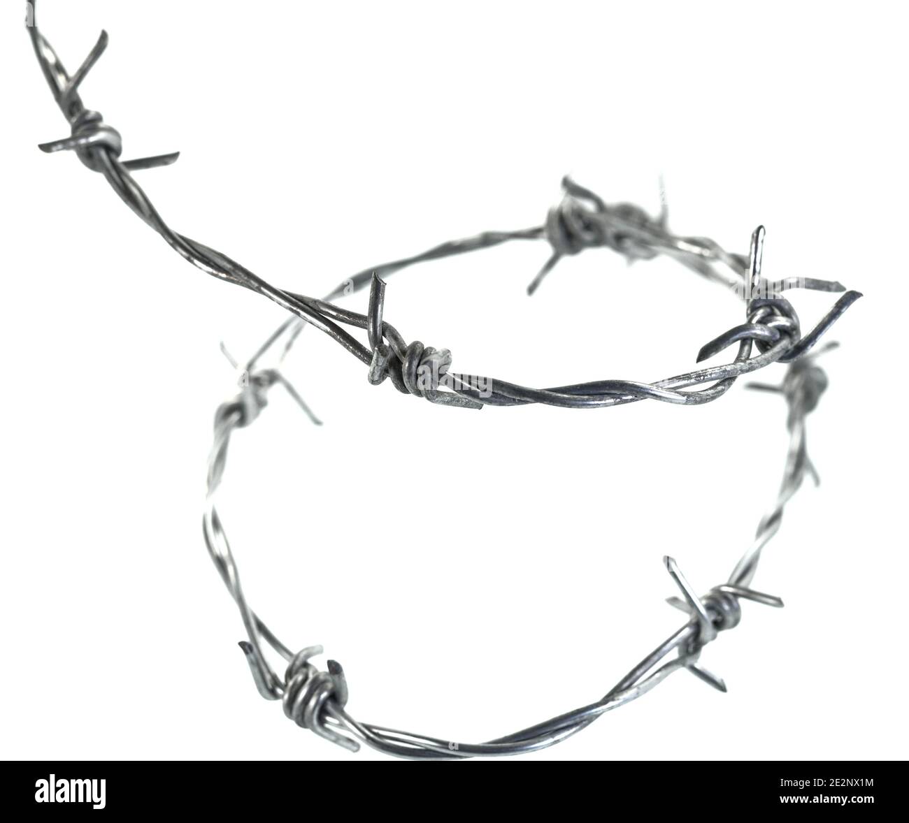 Barbed wire isolated on a white background Stock Photo - Alamy