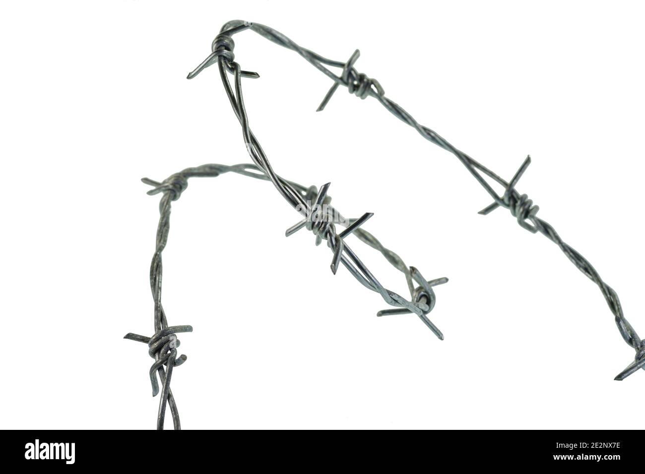 Barbed wire isolated on a white background Stock Photo - Alamy