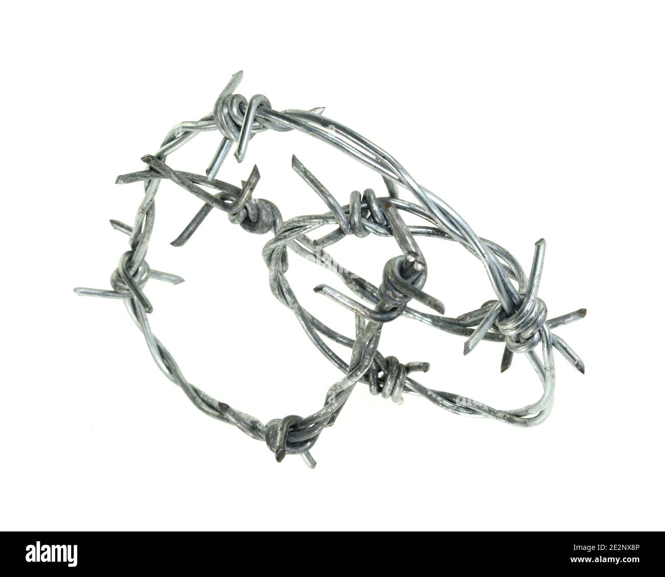Barbed wire isolated on a white background Stock Photo - Alamy